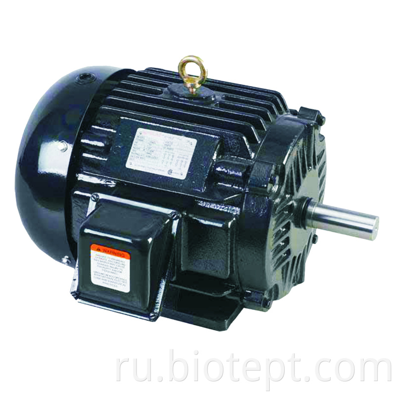 Premium Efficiency Motor